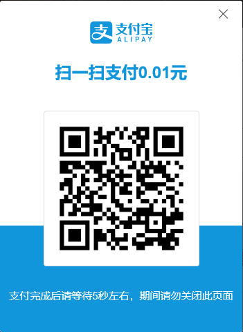 支付购买说明 支付购买说明