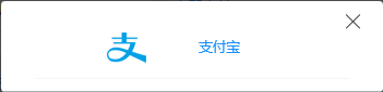 支付购买说明 支付购买说明